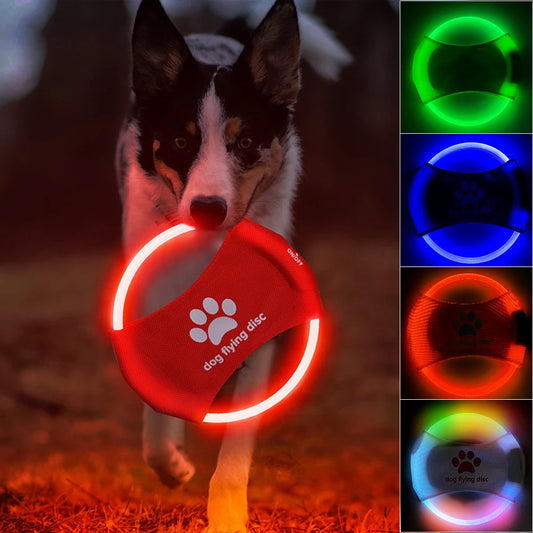 Disco volador con luz para perro