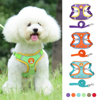 Caniche con arnés verde y colores disponibles