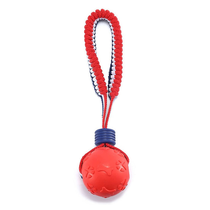 Pelota con cuerda para perro