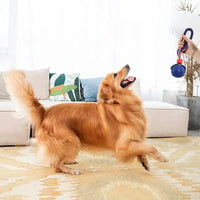 Pelota con cuerda para perro